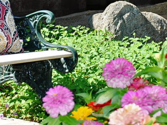 Top-Rated Nursing Homes in Three Rocks, CA