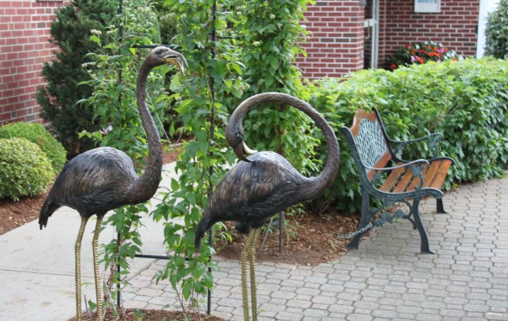 Blaire House of Milford | Nursing Home | Milford Skilled Nursing Facility