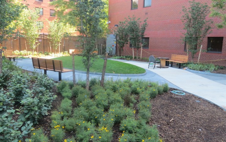 Henry J Carter Skilled Nursing Facility | Manhattan Skilled Nursing