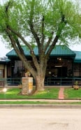Park View Care Center Nursing - Downtown Health And Rehabilitation Center Twbx8zq0 1691441571